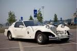 Mitsuoka Le-Seyde от 1300/час